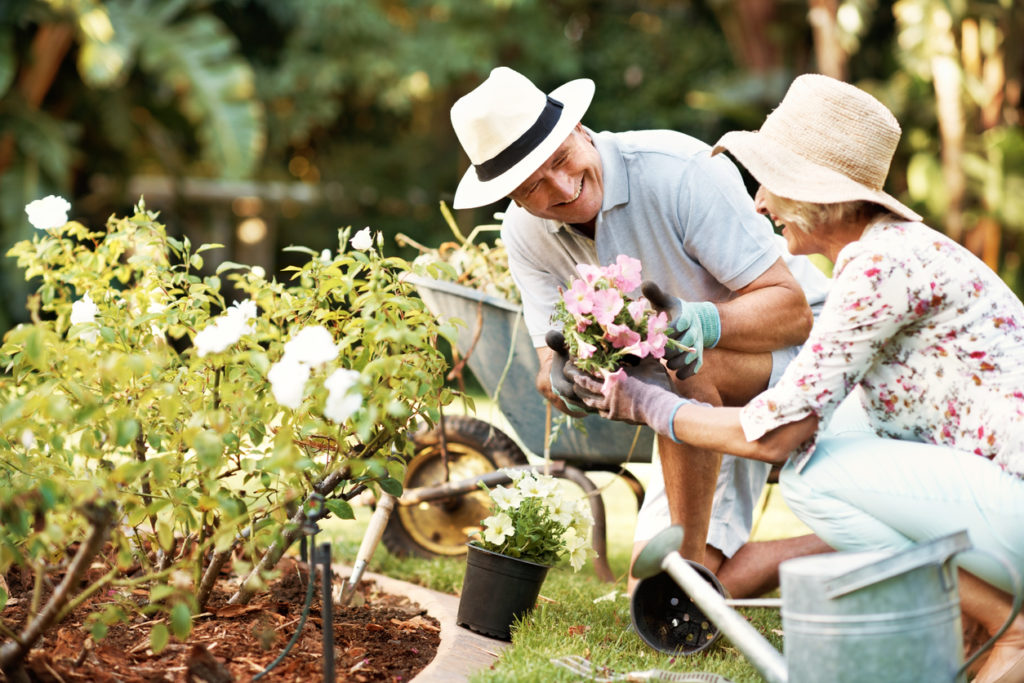 Gardening Photo Credit: Kupicoo (iStock).