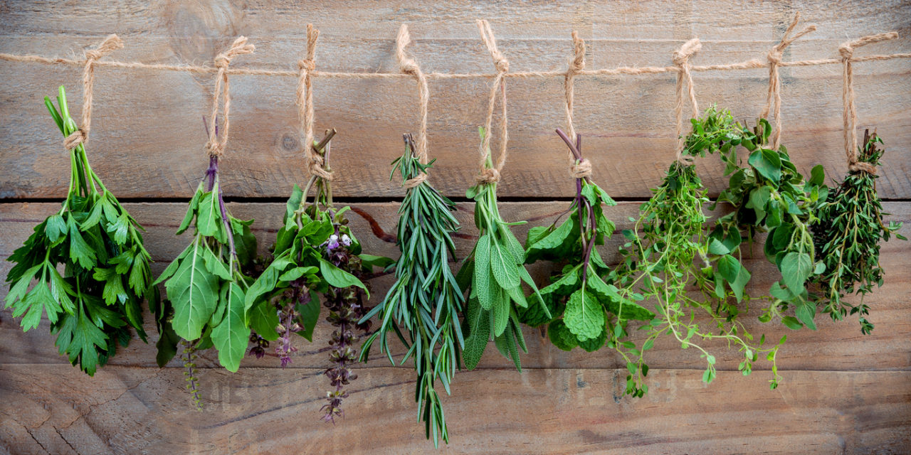 5 Herbs for Boosting Memory and Concentration