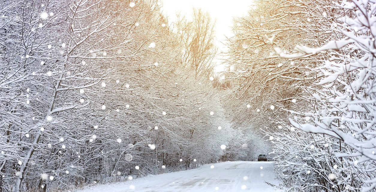 8 Ways to Winterize Your Car