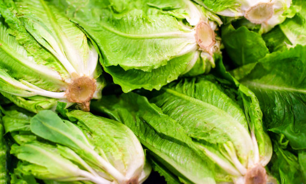 Food Poisoning Alert: Romaine Lettuce Unsafe to Eat