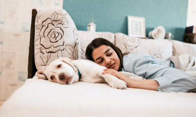 It’s Official: Women Sleep Better With Dogs By Their Side