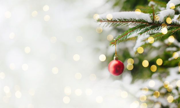 6 Simple Tips For Picking The Perfect Christmas Tree